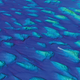 Gulf of Bothnia drumlins. These structures are thought to have formed by ice flow south towards a large glacier in the Baltic Sea during the last glacial period some 20 000 years ago. (Image courtesy British Antarctic Survey)